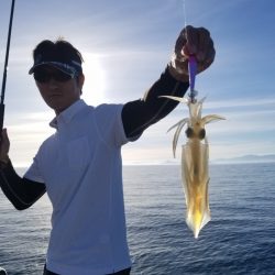 ソルトウォーターガイドフレンズ 釣果