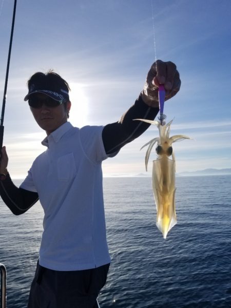 ソルトウォーターガイドフレンズ 釣果