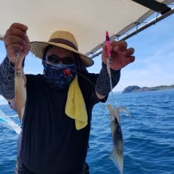 ソルトウォーターガイドフレンズ 釣果