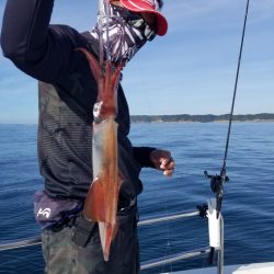 ソルトウォーターガイドフレンズ 釣果