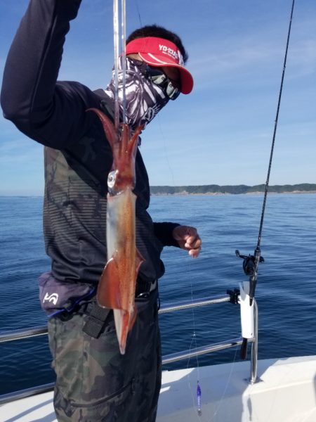 ソルトウォーターガイドフレンズ 釣果