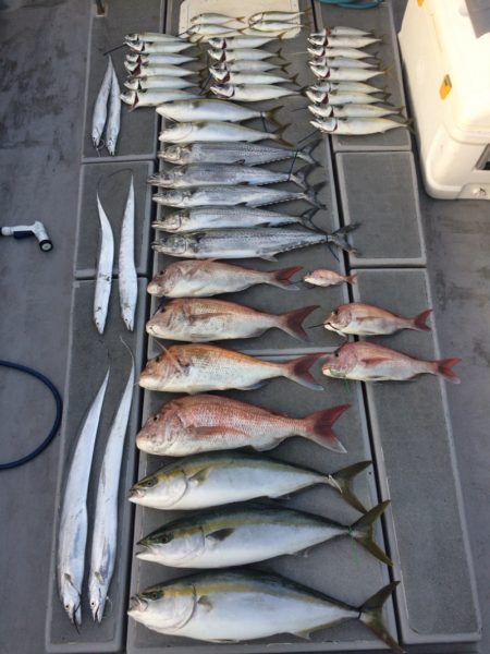 SeaRide(シーライド) 釣果