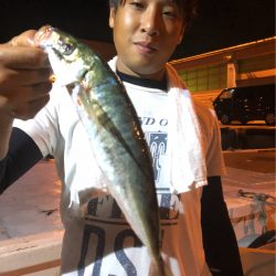 オーシャンズ 釣果