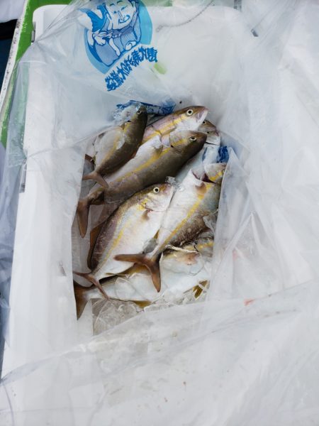 丸万釣船 釣果