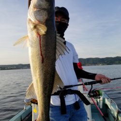 アマテラス 釣果