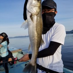 アマテラス 釣果