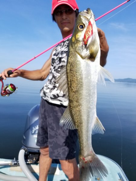 アマテラス 釣果