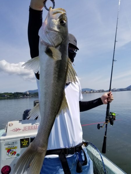 アマテラス 釣果