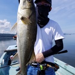 アマテラス 釣果