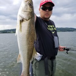 アマテラス 釣果