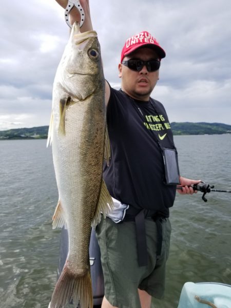 アマテラス 釣果