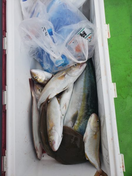 丸万釣船 釣果