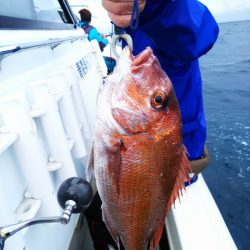 ブルドック 釣果