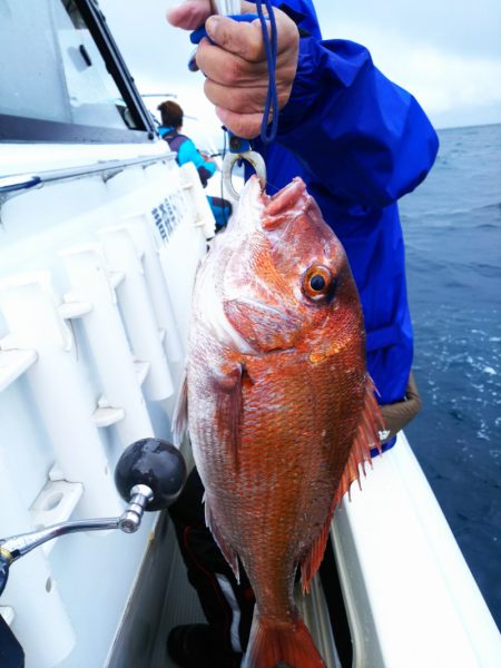 ブルドック 釣果