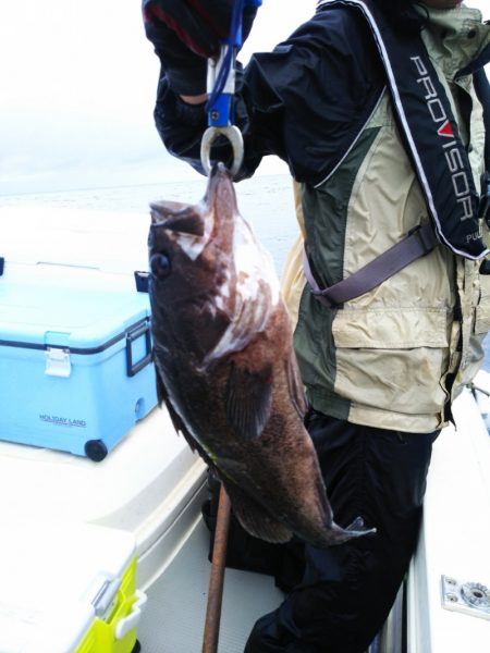 ブルドック 釣果