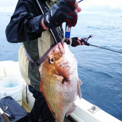 ブルドック 釣果