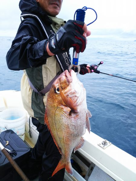 ブルドック 釣果