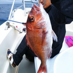 ブルドック 釣果