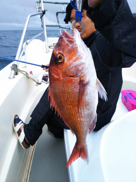 ブルドック 釣果