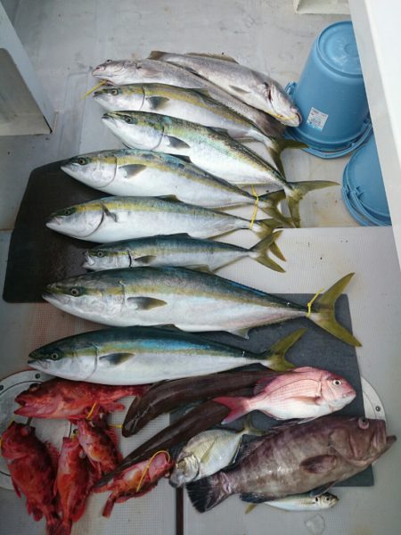 エンペラー 釣果