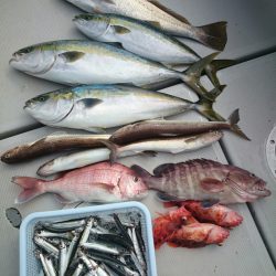 エンペラー 釣果