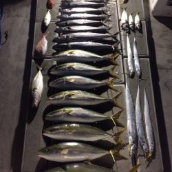 SeaRide(シーライド) 釣果