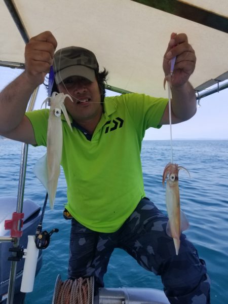 ソルトウォーターガイドフレンズ 釣果