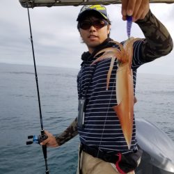 ソルトウォーターガイドフレンズ 釣果