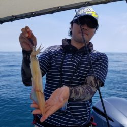 ソルトウォーターガイドフレンズ 釣果