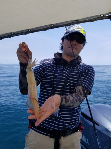 ソルトウォーターガイドフレンズ 釣果