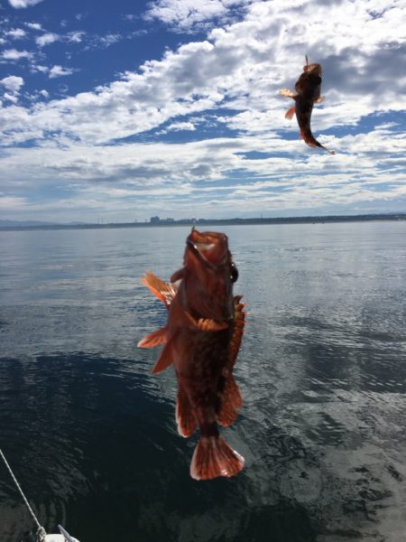 うさぎ丸 釣果