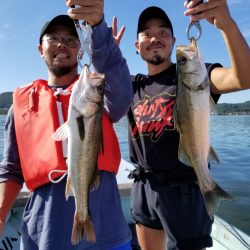 アマテラス 釣果