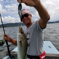 アマテラス 釣果