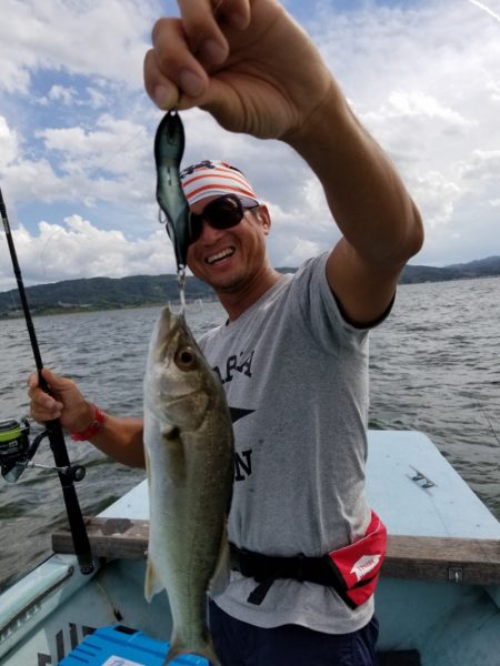 アマテラス 釣果