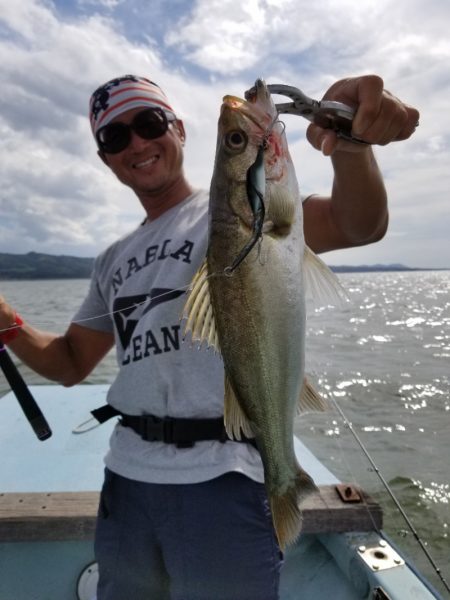 アマテラス 釣果