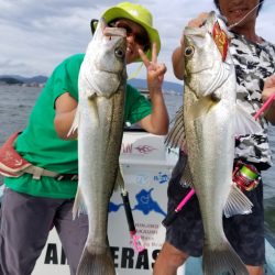 アマテラス 釣果