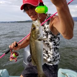 アマテラス 釣果