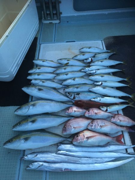 エムズジャーク（M's JERK…