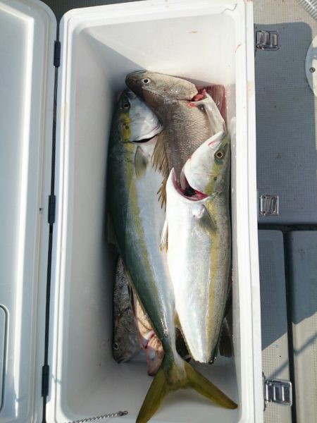 エンペラー 釣果