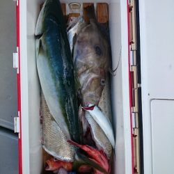 エンペラー 釣果