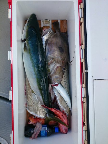 エンペラー 釣果