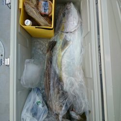 エンペラー 釣果