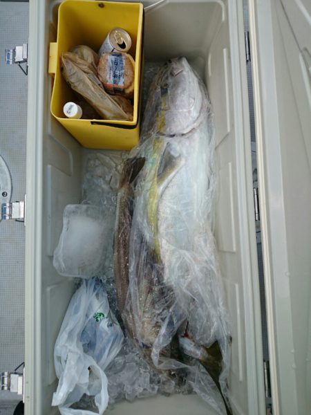 エンペラー 釣果