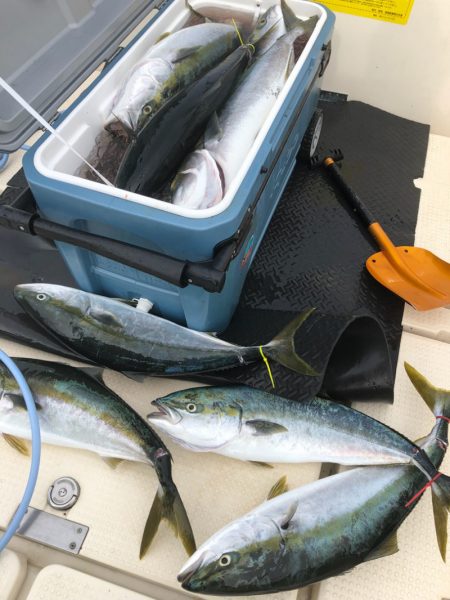 海友丸 釣果