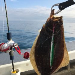 シーランチ 釣果