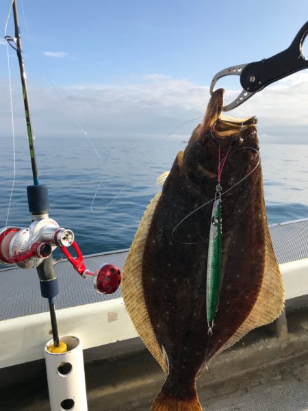 シーランチ 釣果