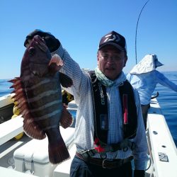 エンペラー 釣果