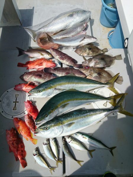 エンペラー 釣果