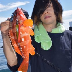 渡船屋たにぐち 釣果