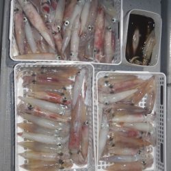 渡船屋たにぐち 釣果